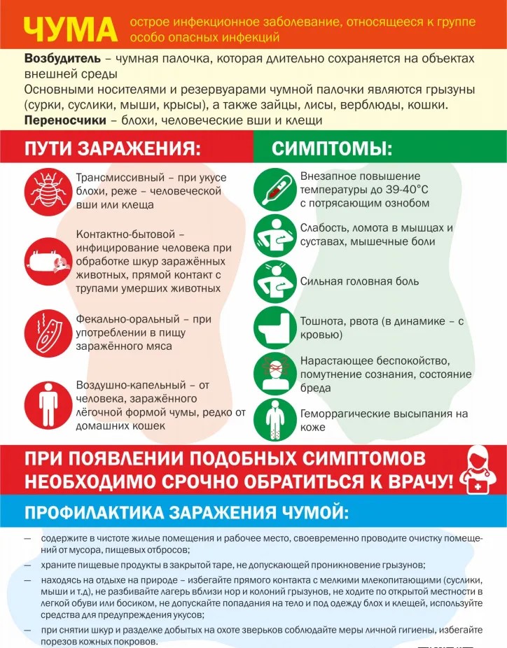 БЕРЕГИТЕ СВОЁ ЗДОРОВЬЕ!.